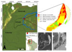 Graphical abstract for the article “Estabilidad espacial como predictor de riqueza de mamíferos en islas fluviales de la Orinoquía” (Botero et al., 2021)