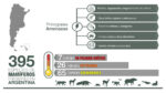 Graphical abstract for the article “Categorización de los mamíferos de Argentina 2019: resumen y análisis de las amenazas” (Abba et al., 2022)